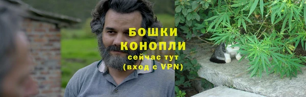 бошки Карпинск