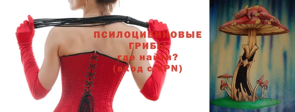 бошки Карпинск