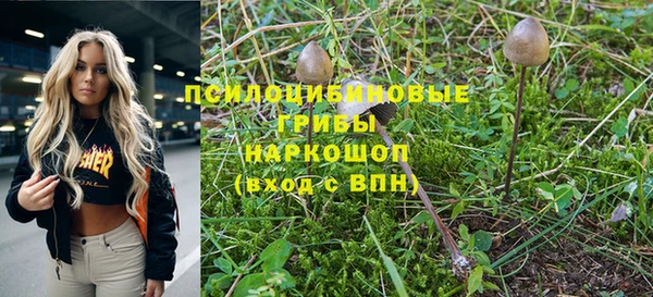 бошки Карпинск