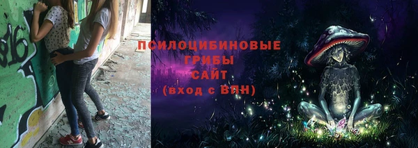 бошки Карпинск