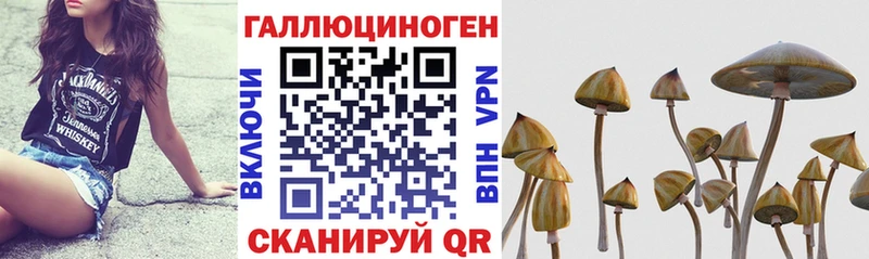 Псилоцибиновые грибы Cubensis  Купить  Артёмовск 
